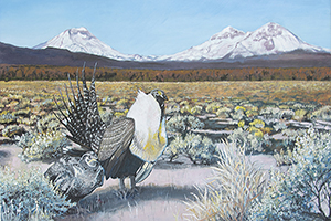 Greater Sage-Grouse